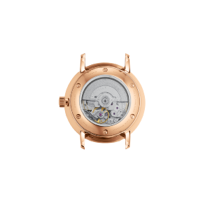 NAOS XS auto acier or rose cuir marron S02-ND13-KL19
